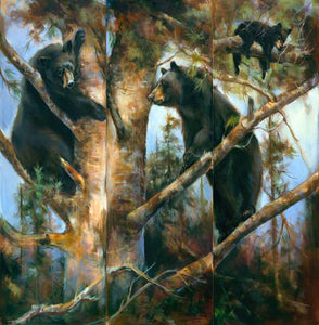 Bear Triptych